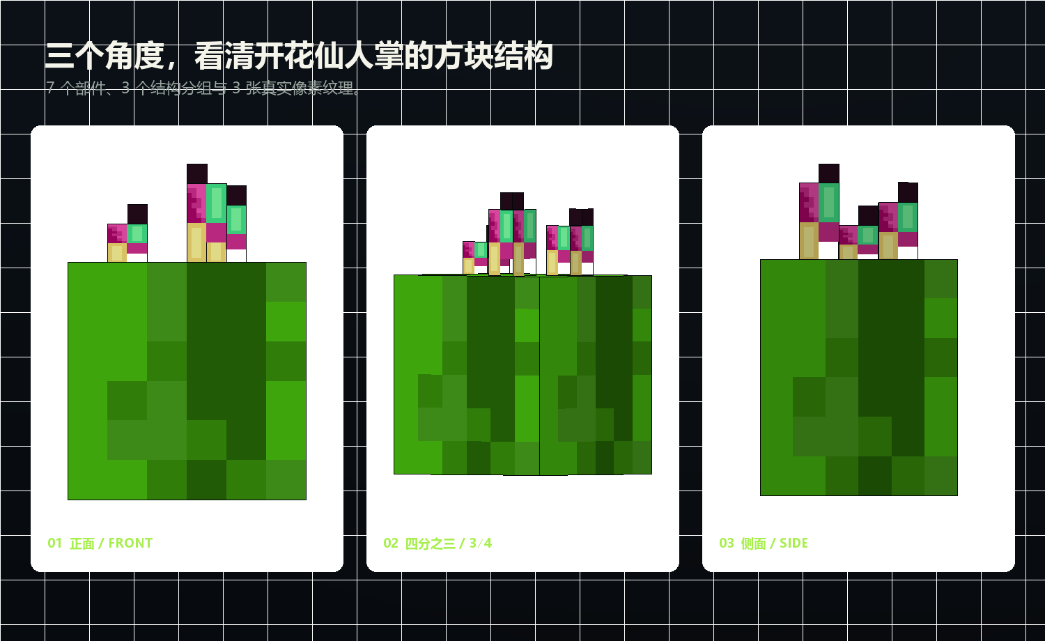 开花仙人掌 Blockbench 植物模型的正面、四分之三和侧面视图