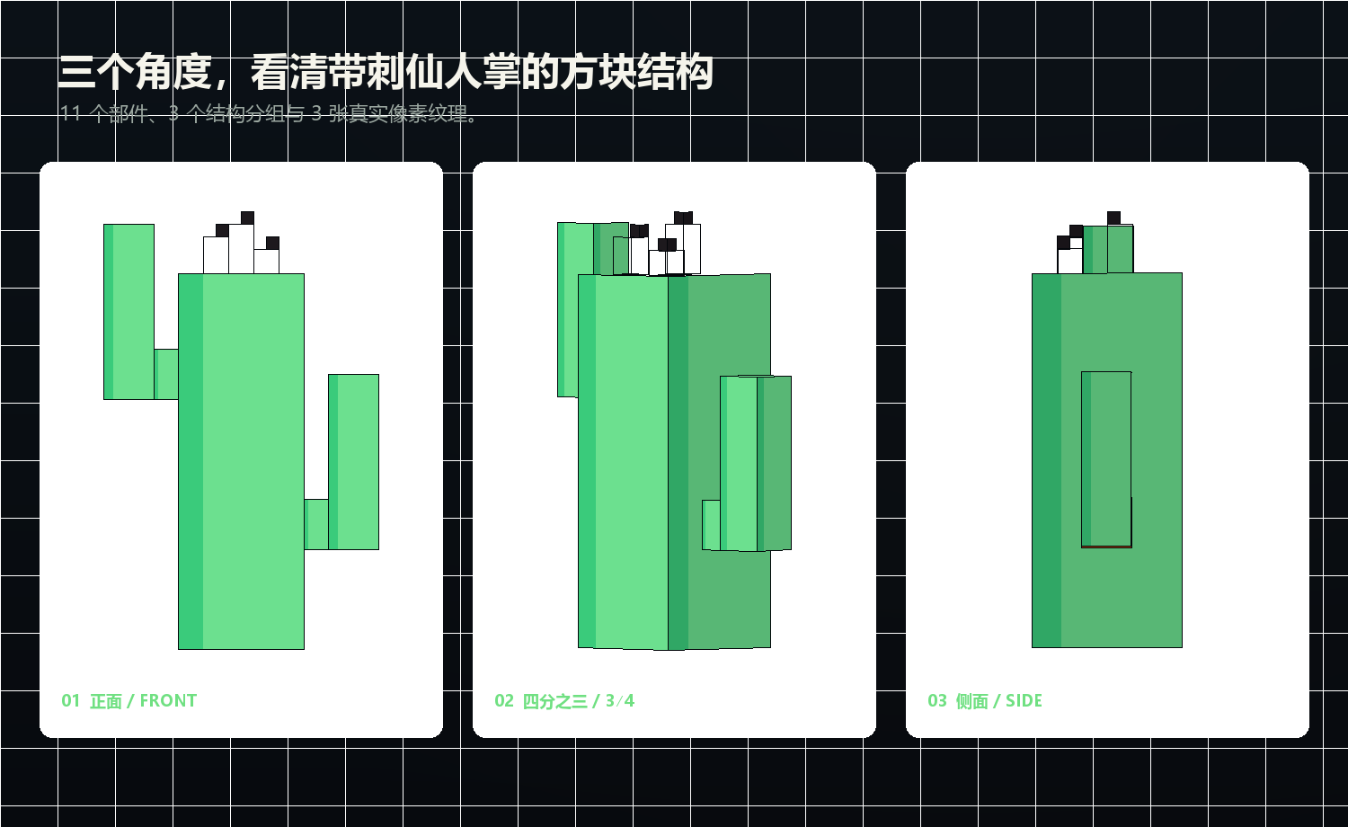 带刺仙人掌 Blockbench 植物模型的正面、四分之三和侧面视图